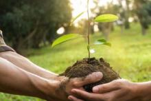 Plant’Avenir plante ses 400 premiers arbres !